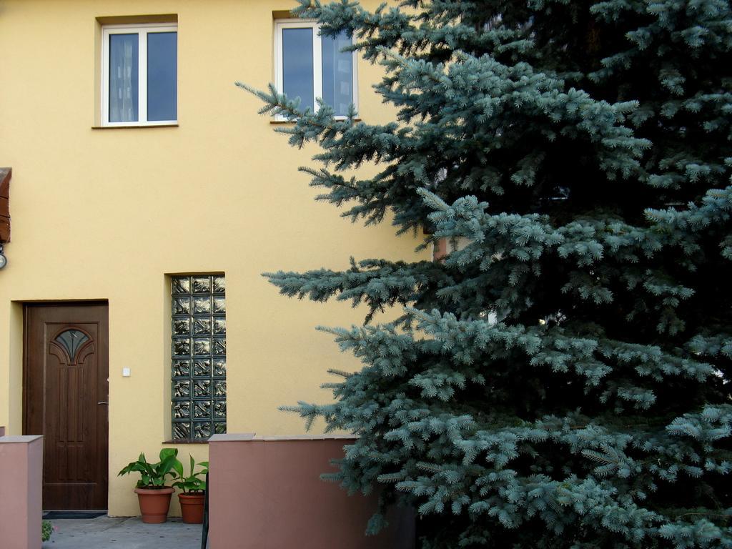 Apartamenty Stajni Jazon Malbork Esterno foto